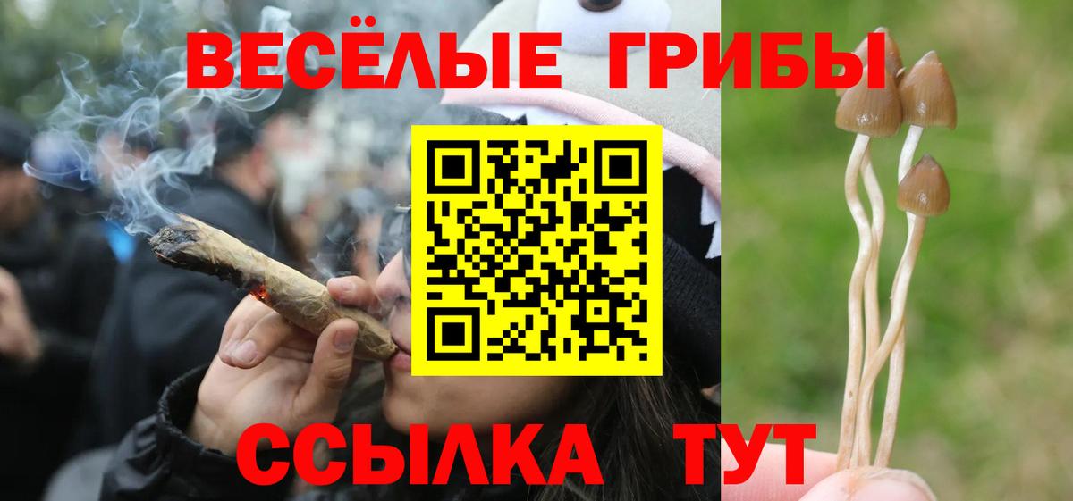 Гуково  Галлюциногенные грибы MAGIC MUSHROOMS  Вход с VPN 