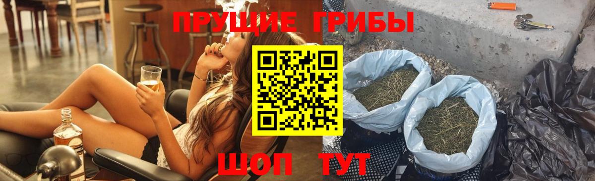 Галлюциногенные грибы Psilocybe Гуково